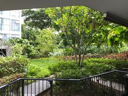 Eight Courtyards (D27), Condominium #154641312